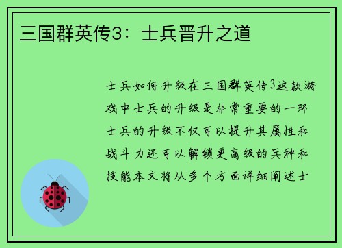 三国群英传3：士兵晋升之道